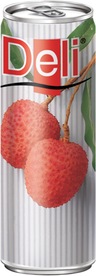 DELI Lycheenektar Fruchtgehalt mind. 25% 250ml