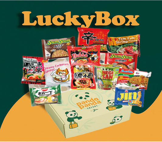Überraschungsbox asiatische Instantnudeln - Panda-Panda Asia Shop by JEN