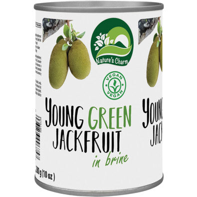 NATURES CHARM Jackfruit in Lake 570g
